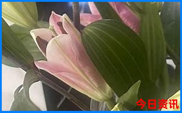 经典自驾游路线推荐